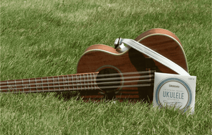 Ukulele Chord Chart