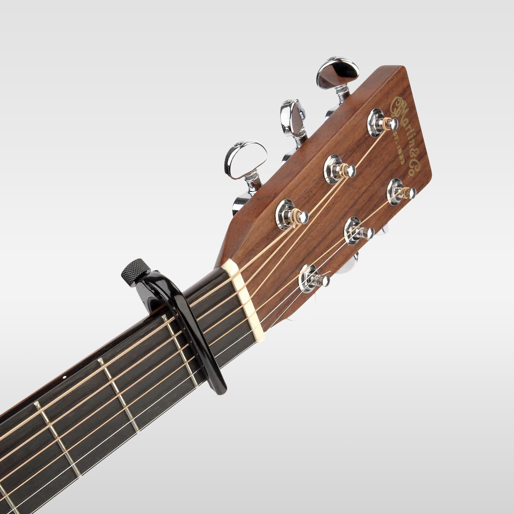 How To Put a Capo on a Guitar | D'Addario