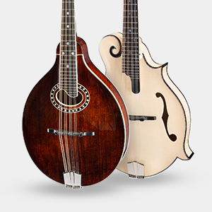 Sistema Metálico Banjo Tailpiece Mandolin Bridge | Cuotas sin interés Sistema Metálico Banjo Tailpiece Mandolin Bridge | Cuotas sin interés