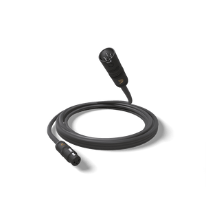 (PW-AMSM-25)