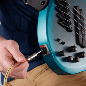 (PW-BG-10BG) PW-BG-10BG