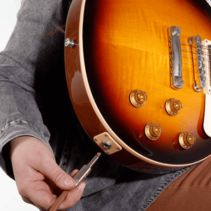 (PW-BG-15BG) PW-BG-15BG