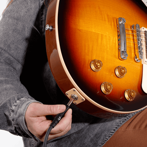 (PW-CGTP-01) PW-CGTP-01