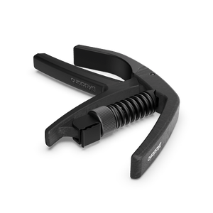(PW-CP-22)