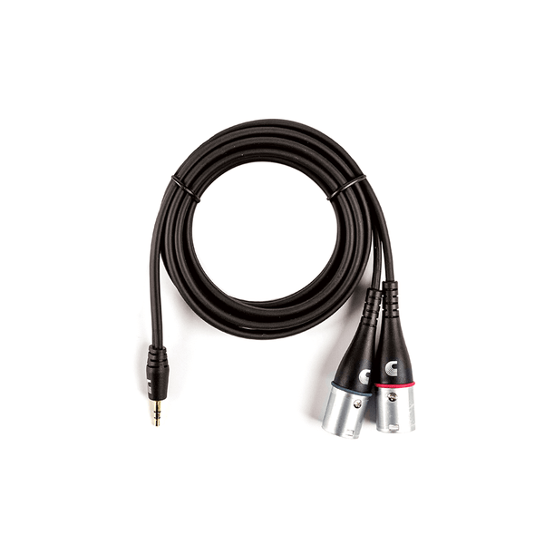 Dual XLR Audio Cable | Accessories | D'Addario