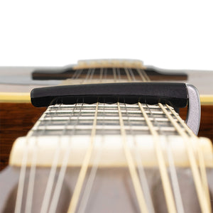 (PW-CP-19S) PW-CP-19S