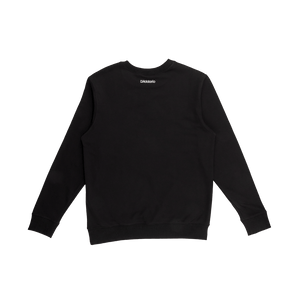 (ASD250413) ASD250413