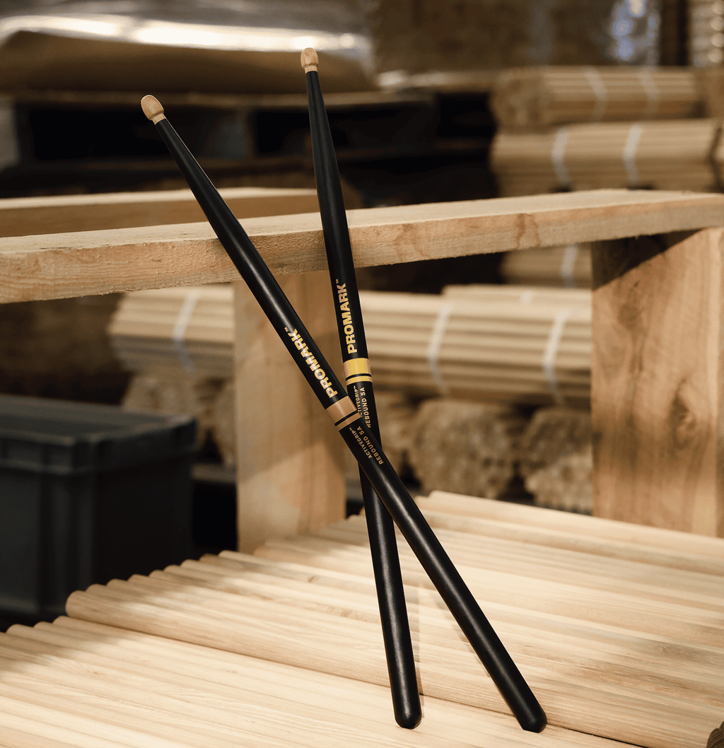 Learn & Earn - Drumstick Anatomy | D'Addario