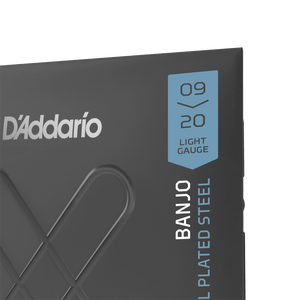XTJ0920 XT Nickel Wound 5String | Banjo Strings | D'Addario XTJ0920 XT Nickel Wound 5String | Banjo Strings | D'Addario