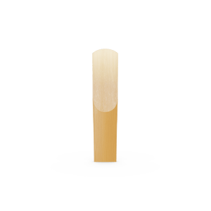 (ORRS10SSX2M) ORRS10SSX2M