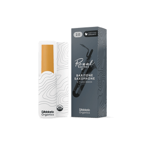 (RHKP5BSX200) RHKP5BSX200