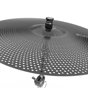 (EHSP-1-CYMBAL)