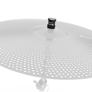 (EHSP-1-CYMBAL)