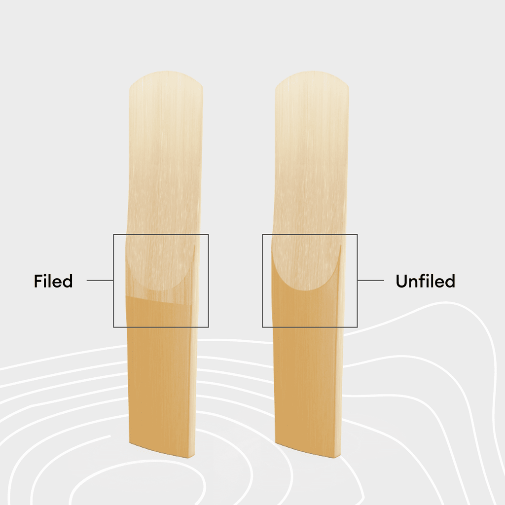 Learn & Earn - Reeds | D'Addario