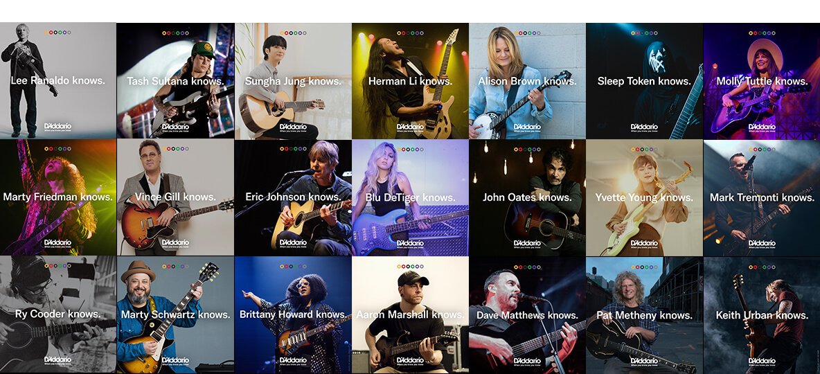 Various D'Addario artists.