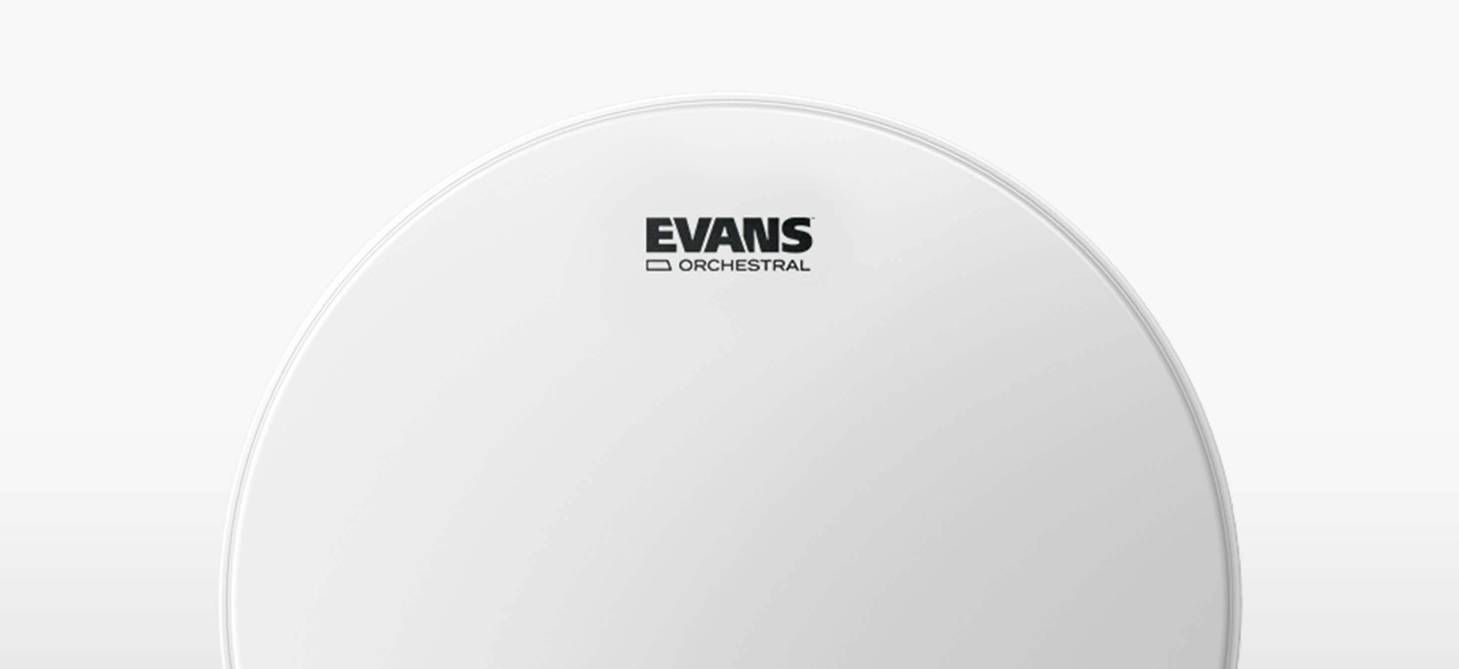 Evans Orchestral Drumhead