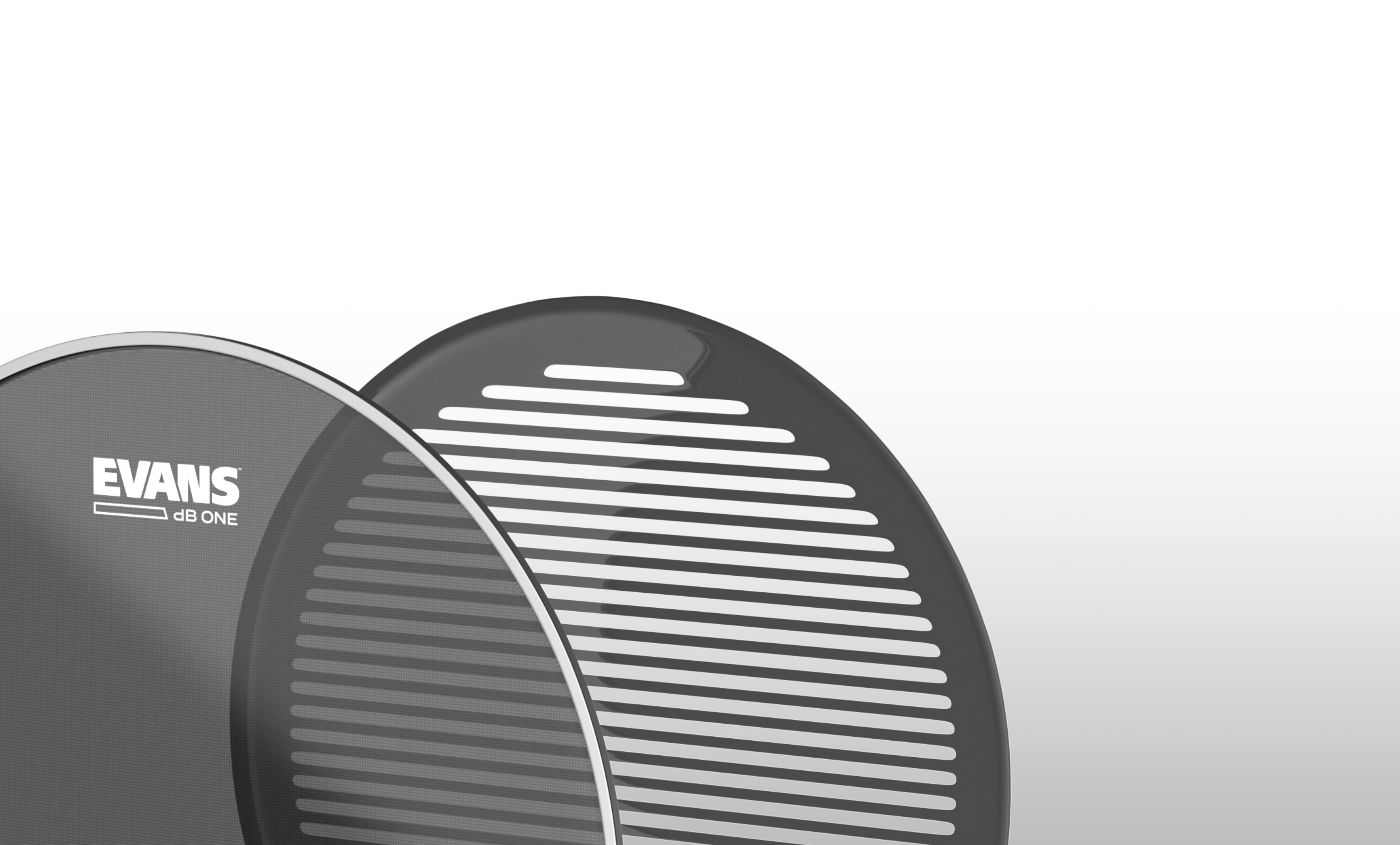 Closeup of dB One Snare Drumhead