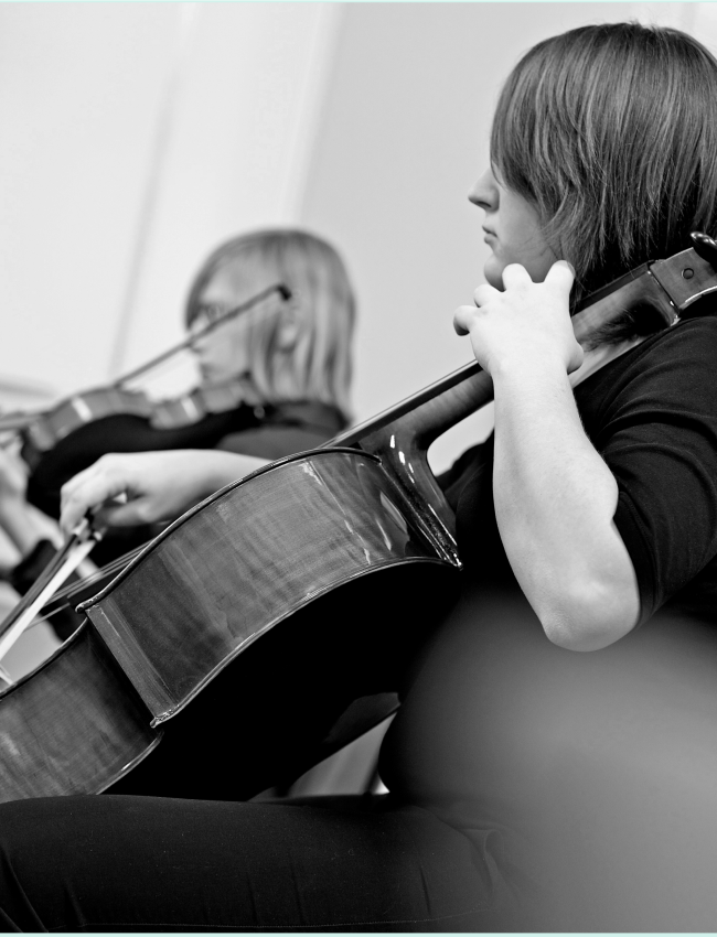 Orchestral Strings 101 (All Orchestral Clinicians)