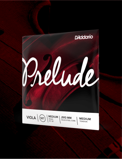 Beginner: Prelude