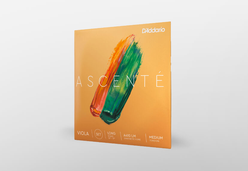 Ascente Viola