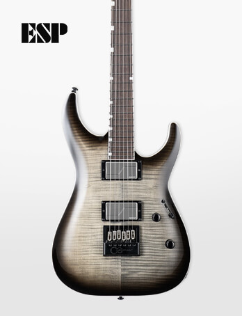 ESP Guitars