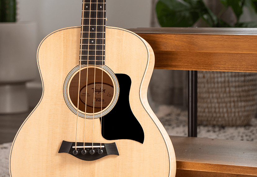 Taylor GS Mini Bass