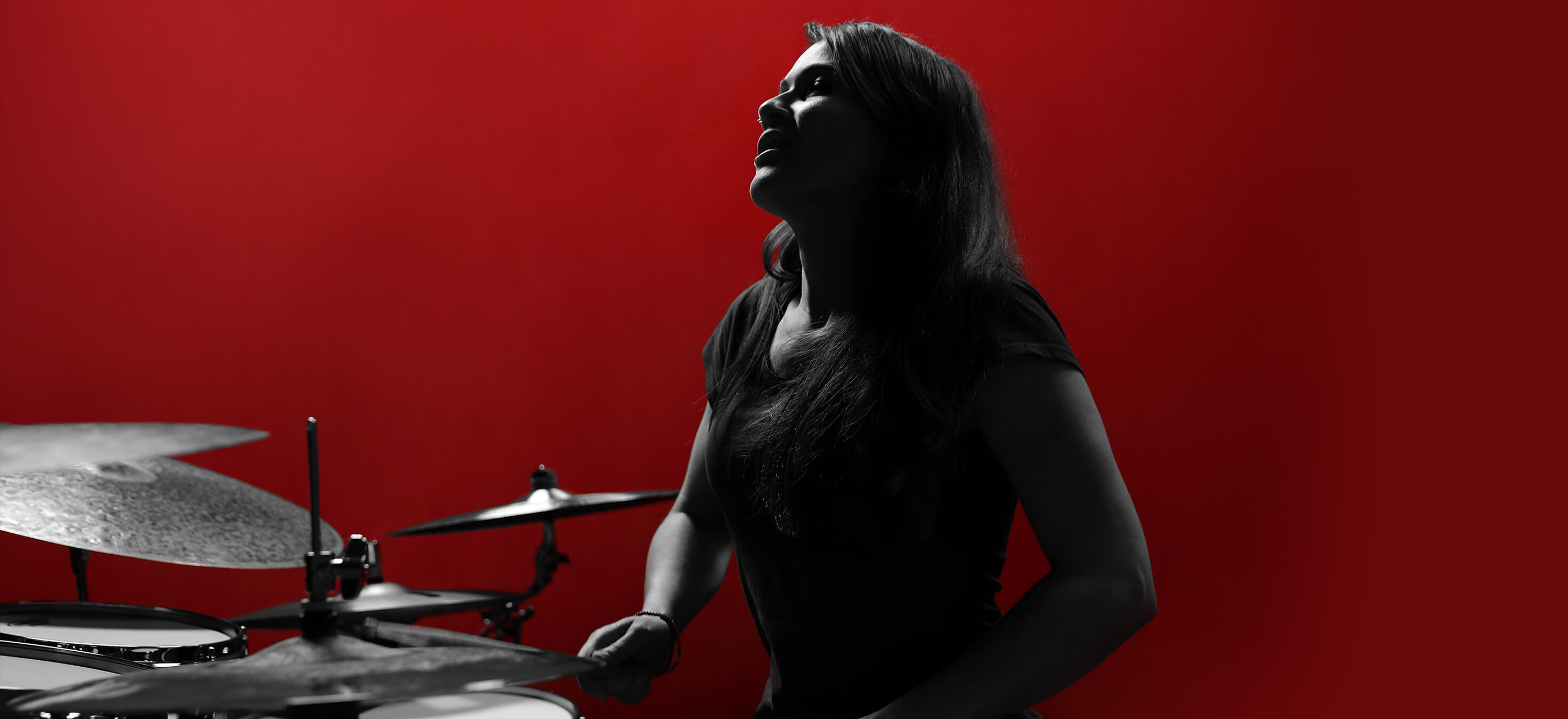 Evans Drumheads Artists D'Addario