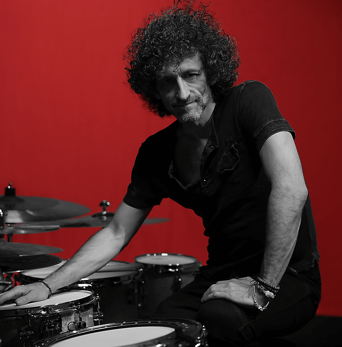 Evans Drumheads Artists D'Addario