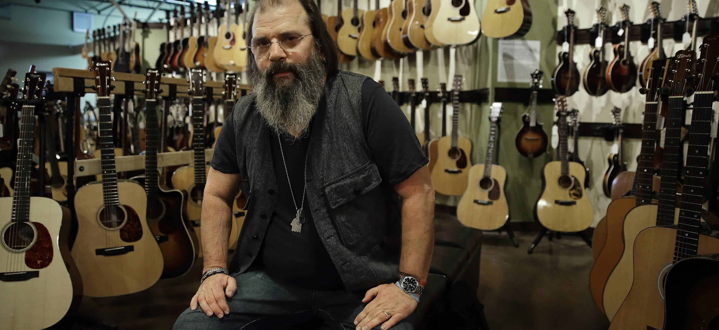 Steve Earle Guitar D Addario