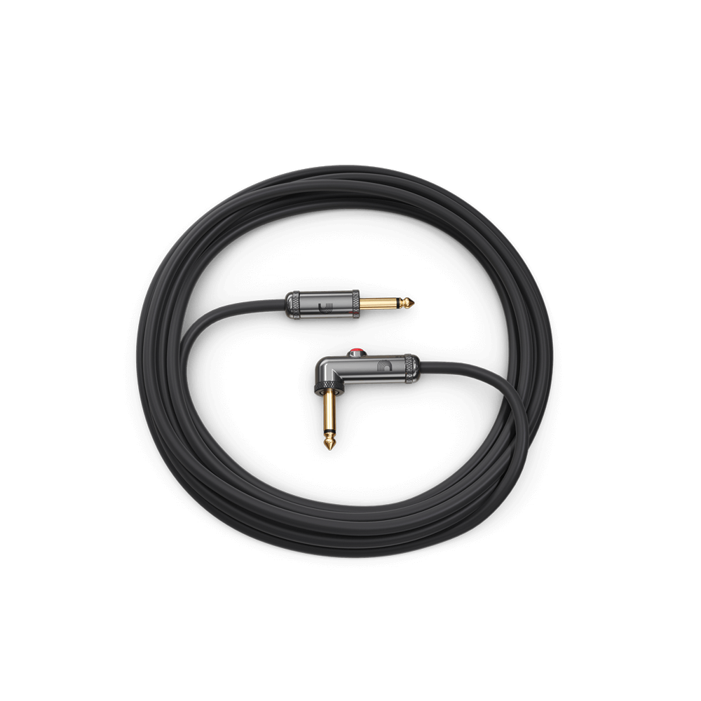 D'Addario Circuit Breaker Instrument Cable with Latching Cut-Off Switch, Right Angle Plug, 10 feet