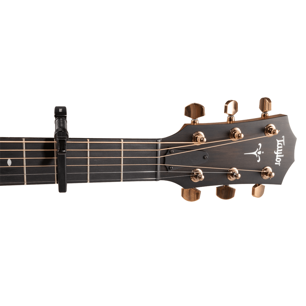 D'Addario Artist Capo, Black