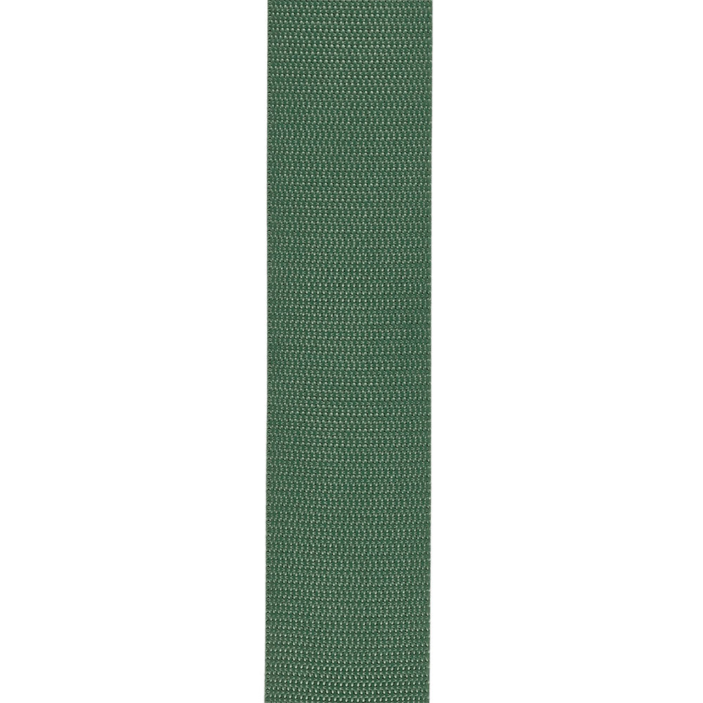 D'Addario Auto Lock Guitar Strap, Green