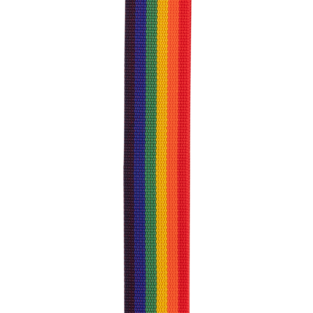 D'Addario Auto Lock Polypro Guitar Strap, Rainbow