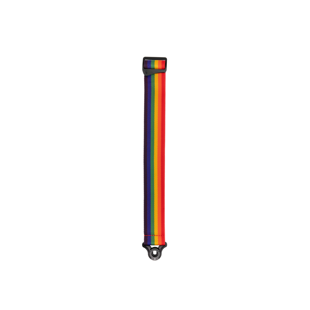 D'Addario Auto Lock Polypro Guitar Strap, Rainbow