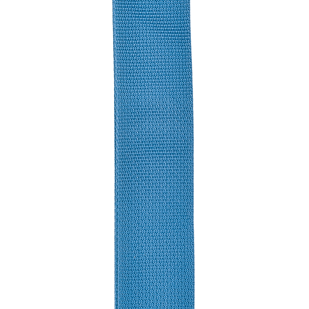 D'Addario Planet Lock Guitar Strap, Polypropylene, Blue