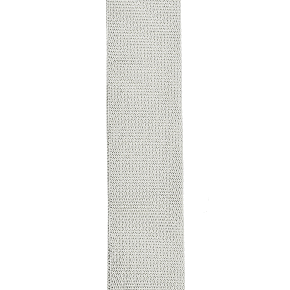 D'Addario Planet Lock Guitar Strap, Polypropylene, Silver