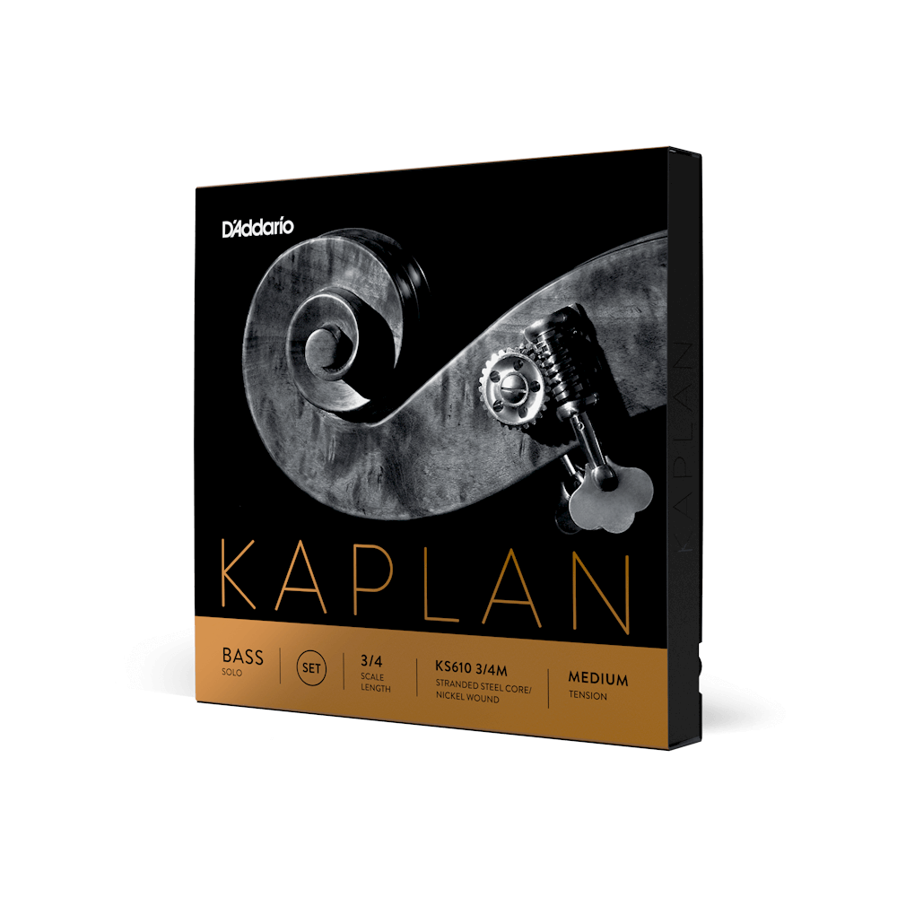 D'Addario Kaplan Solo Double Bass D-Ext String, 3/4 Scale, Medium Tension