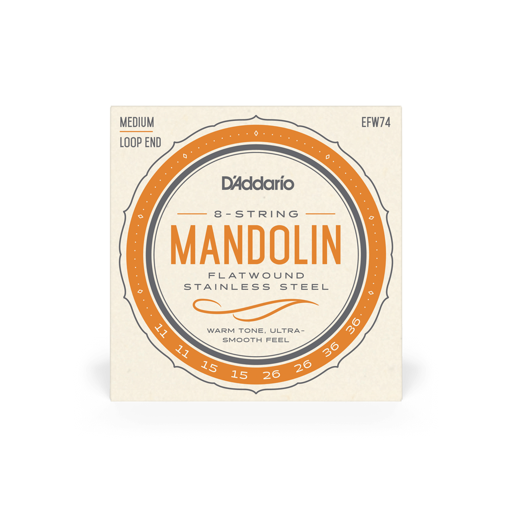 D'Addario EFW74 Flatwound Mandolin Strings, Stainless Steel, Medium, 11-36