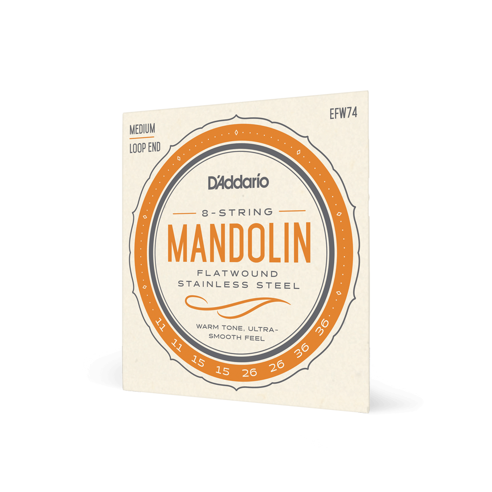 D'Addario EFW74 Flatwound Mandolin Strings, Stainless Steel, Medium, 11-36