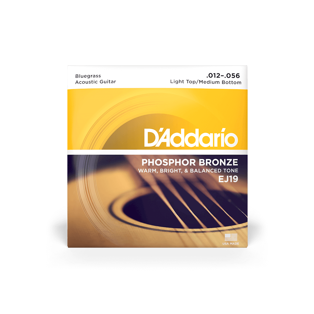 D'Addario EJ11 80/20 Bronze Acoustic Guitar Strings, Light, 12-53 – Lark in  the Morning