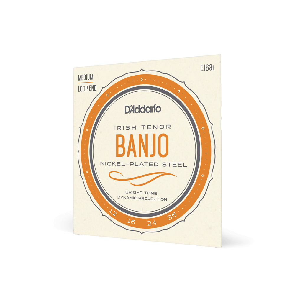 4 String Loop Ended Set 19954910853 DAddario Irish Tenor Banjo Strings By D'Addario EJ63i 