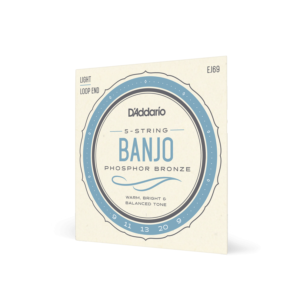 D'Addario EJ69 5-String Banjo Strings, Phosphor Bronze, Light, 9-20