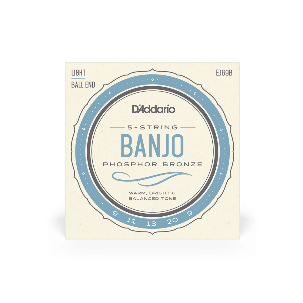 D'Addario EJ69 5-String Ball-End Banjo Strings, Phosphor Bronze, Light, 9-20