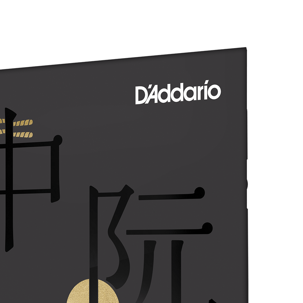D'Addario RUAN01 Zhongruan Strings, Medium Tension, 16-44.