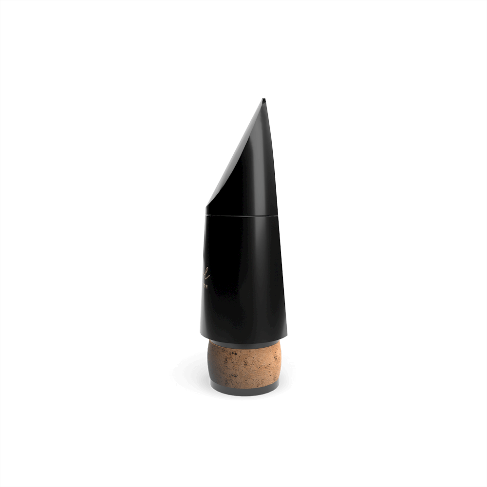 D'Addario Reserve Evolution Bb Clarinet Mouthpiece, EV10