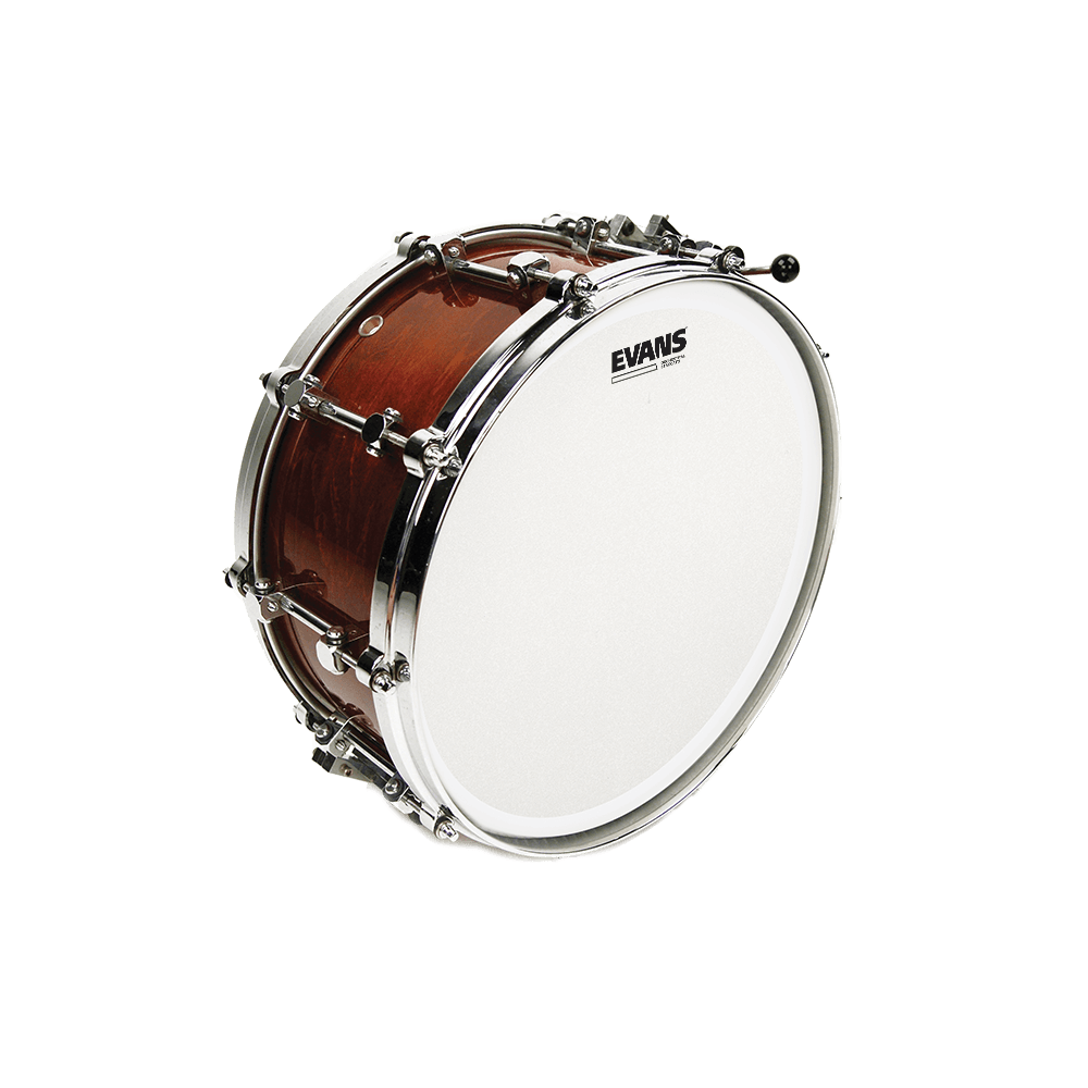 EVANS Orchestral Stacatto Coated White Snare Drum Head, 14 Inch