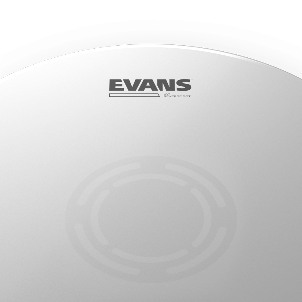 EVANS UV1 Reverse Dot Snare Drum Head, 14 Inch