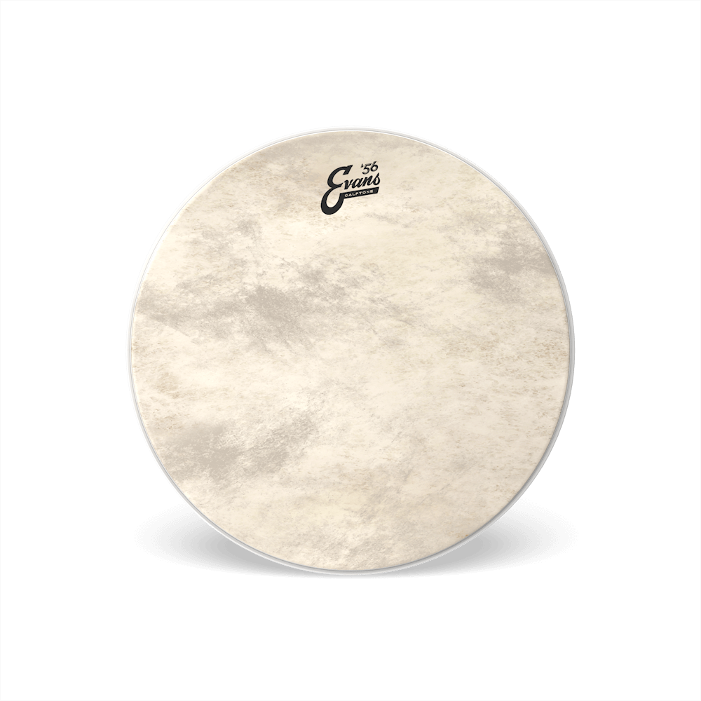 evans calftone bass drum head