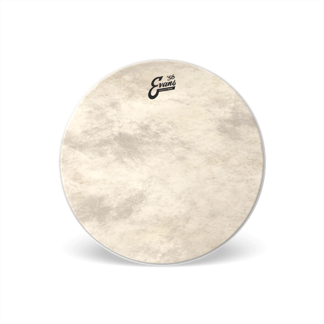 Calftone Bass Reso Drumhead