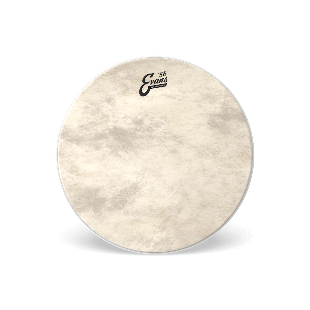 EVANS EQ4 Calftone Bass Drum Head, 22 Inch